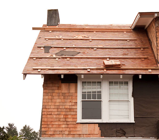 Affordable Siding Repair and Maintenance Services in Muniz, TX